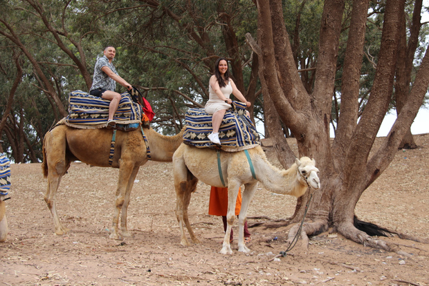 From Agadir or Taghazout: Camel Ride Berber Tour Experience