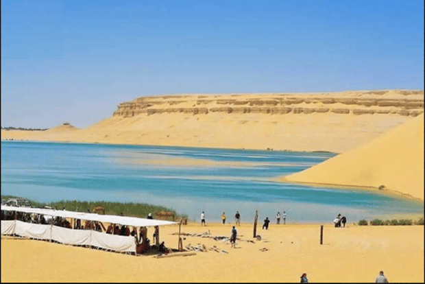 Desde El Cairo: Excursión al Valle de las Ballenas y las Cascadas de Wadi El Rayan