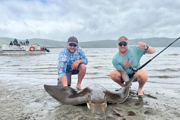 Knysna Lagune Angeln Charter