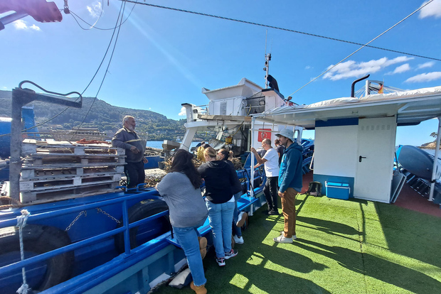 Vigo Ria und Muscheln mit dem traditionellen Boot entdecken