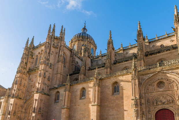Salamanca: biglietto per la Cattedrale di Salamanca con audioguida