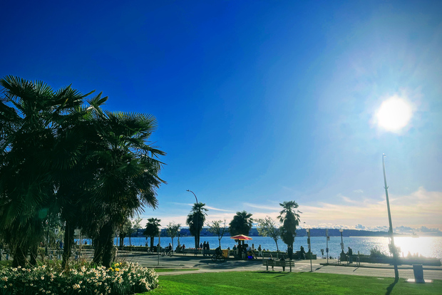 Ванкуверские чудеса: Частная однодневная экскурсия с посещением 25 достопримечательностей