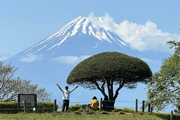 Hakone Hachiri: Excursión por la antigua carretera de Tokaido