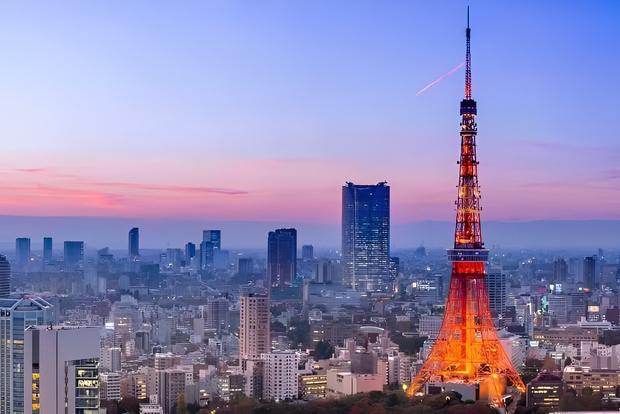Tokyo Tower: Ticket & Abholung vom Hotel