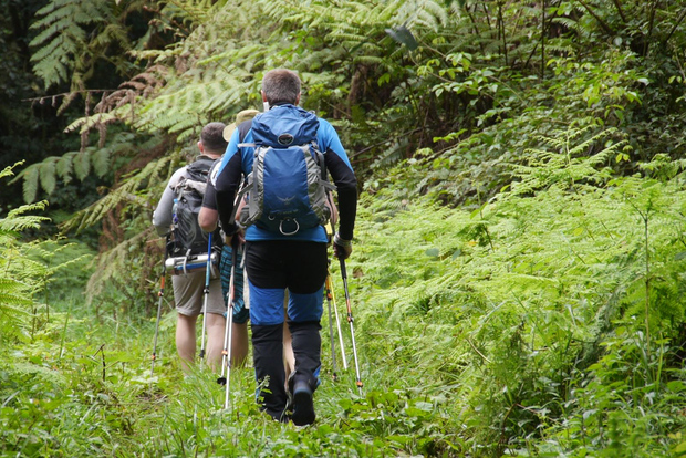 Однодневная поездка из Моши в Национальный парк Мандара Хижина Килиманджаро