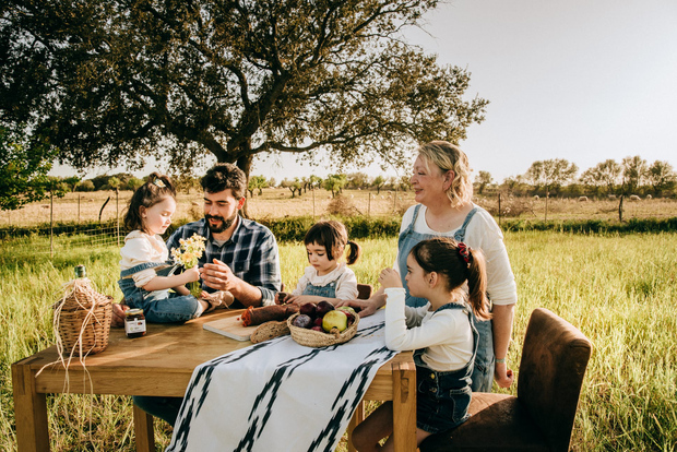 Visita e degustazione di olivi e frantoi
