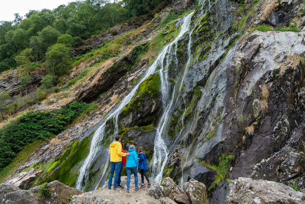 Da Dublino: Wicklow, Glendalough, cascata e dimostrazione di cani da pastore
