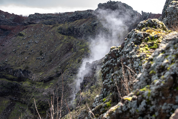 从那不勒斯出发：庞贝古城和维苏威火山一日游（含午餐）