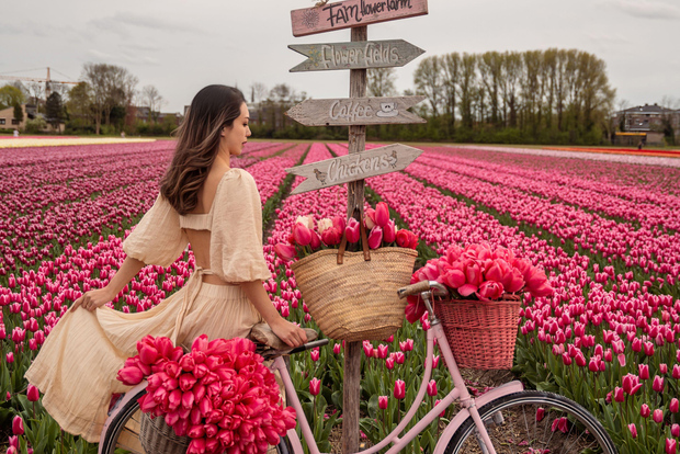 Lisse, Pays-Bas : séance photo parmi les tulipes près d'Amsterdam