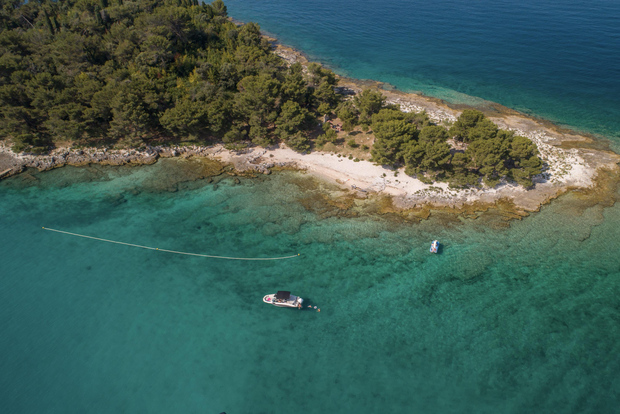 Rovinj: Rovinj-öarna och Limfjorden – en speedboat-tur