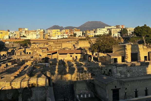 Herculaneum Private Tour (skip-the-line admission included)