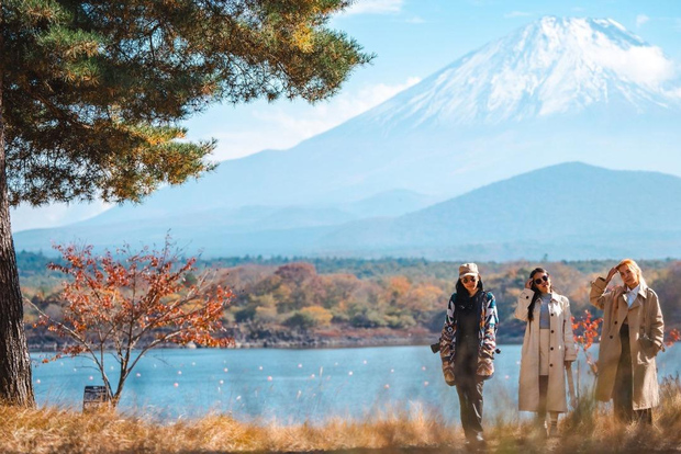 Da Tokyo: Tour privato del Monte Fuji e Hakone in auto