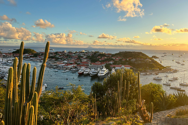 Sweden’s Caribbean Legacy: 90-Minute Walking History Tour