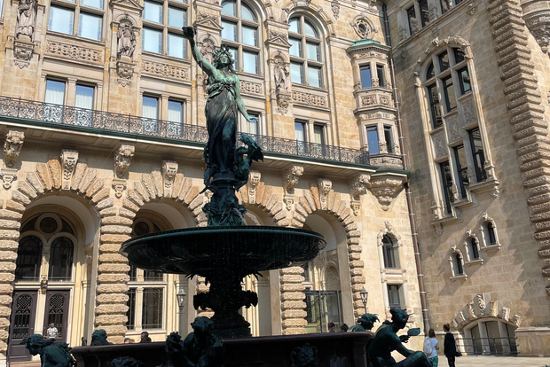 Tour della città attraverso Hafencity, Speicherstadt... con un vero insider!