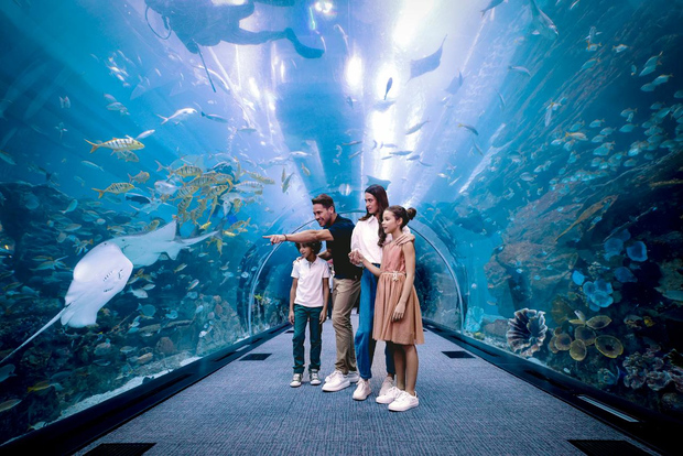 Dubai: Acquario e zoo subacqueo