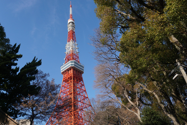 Tokio: Die 3 besten versteckten Fotospots am Tokyo Tower und ein lokaler Schrein