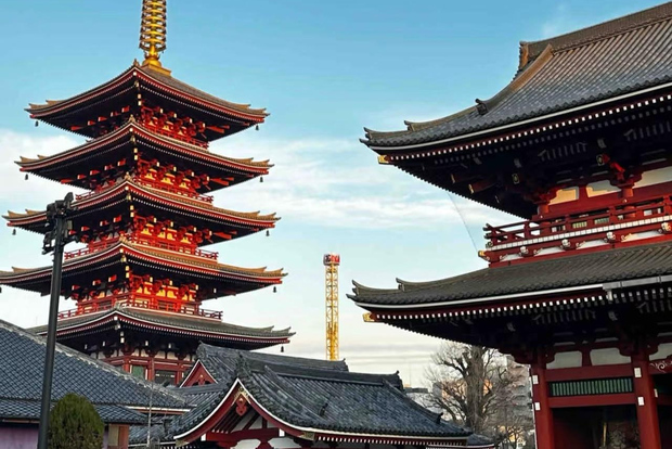 Tokyo: Tour privato personalizzato con guida locale