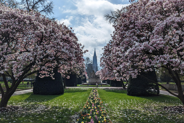 Strasburgo: tour guidato a piedi attraverso le guerre 1871-1945