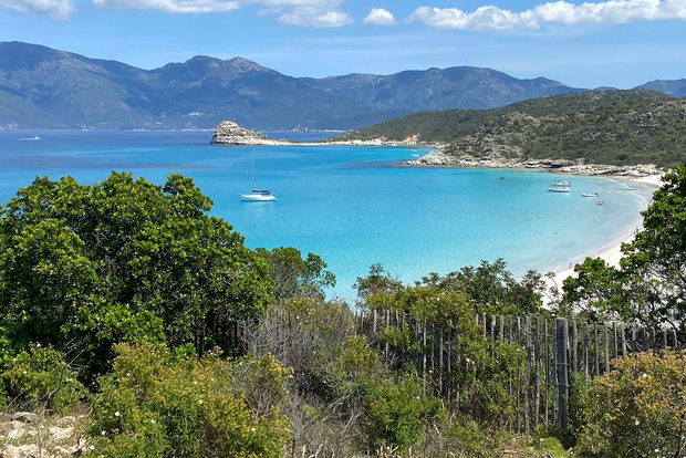Utflykt till Agriates öken och strand från Calvi med 4x4 bilar