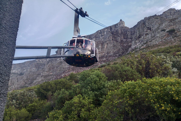Table Mountain, Cape Point, and Penguins Small Group Tour