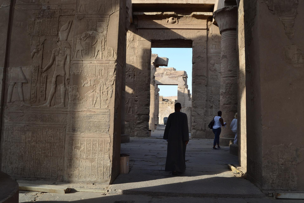 Da Luxor: Tour privato dei templi di Edfu e Kom Ombo e pranzo
