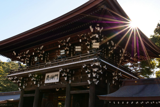 Due facce di Tokyo: santuario Meiji e Harajuku (3 ore)