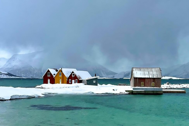 Tromsø: tour dei fiordi e delle isole Sommarøy con picnic a base di salmone