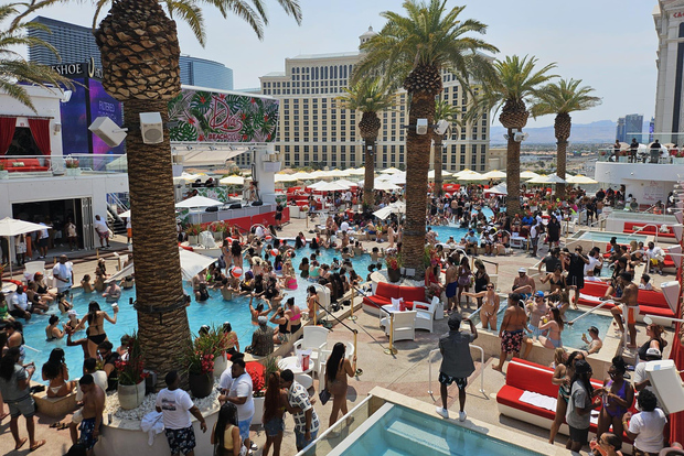 Las Vegas: tour dei locali con piscina con party bus, open bar e ingresso VIP