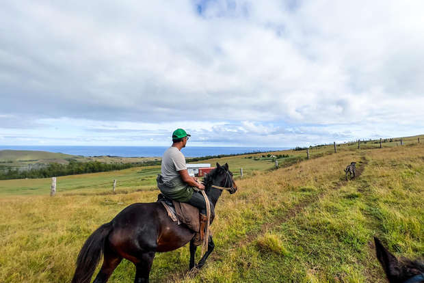 Excursion à cheval à Terevaka : Le point le plus haut et une vue à 360°.