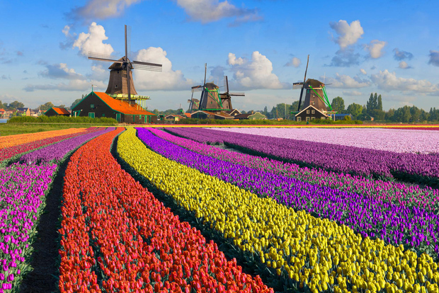 Amesterdão: Excursão Zaanse Schans, Haia e Roterdão