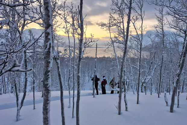 雪鞋徒步和罗弗敦群岛的亲密探索（法语）