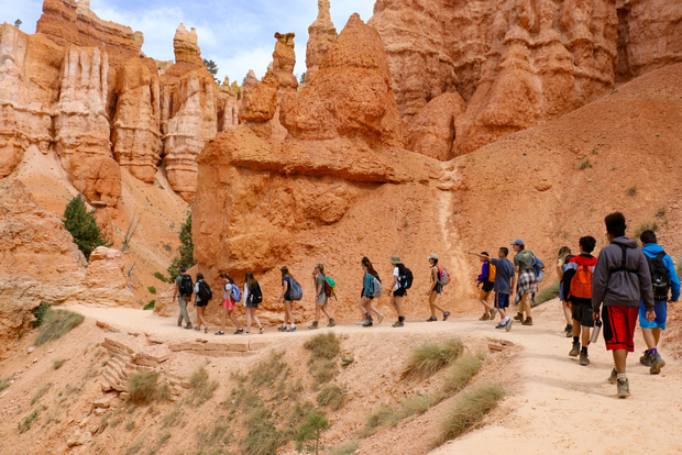 Las Vegas: tour dei parchi nazionali di Bryce e Zion con pranzo