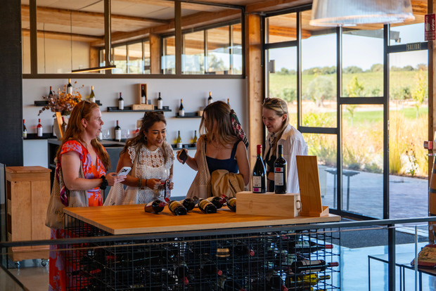 Из Мадрида: тур по 3 винодельням Рибера-дель-Дуэро