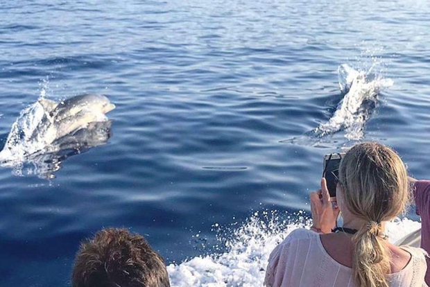 从卡拉戈诺内出发：乘坐 RIB 进行自然游览