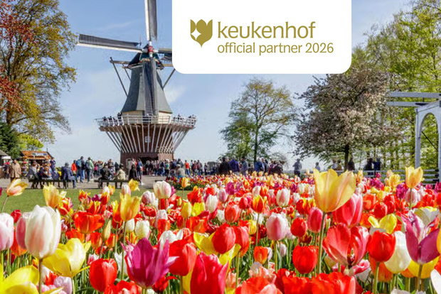 De Amsterdã: entrada para o Keukenhof com transfer