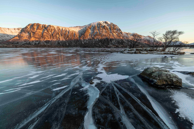 Lofoten: Halvdagstur med lokal guide och fotostopp