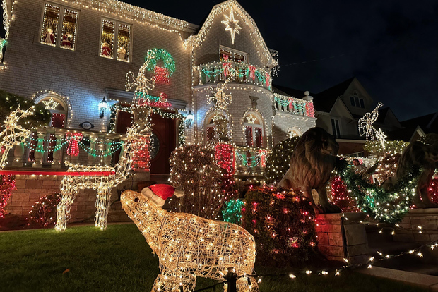 NYC at Night: 3.5 Hour Tour of Holiday Lights