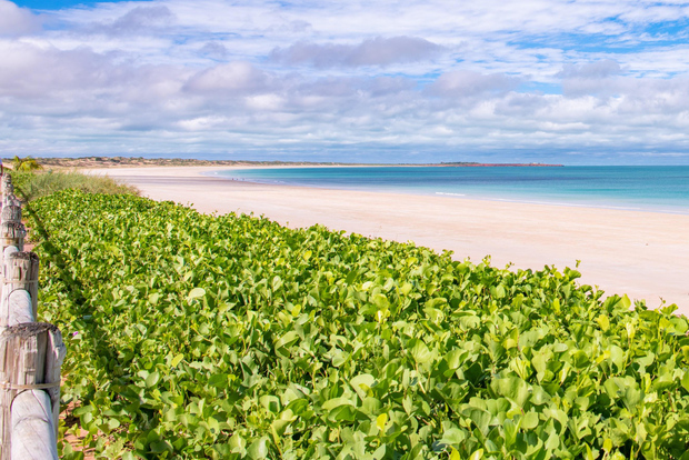 Broome: Panoramic and Discovery - Morning Tour w/ Transfers
