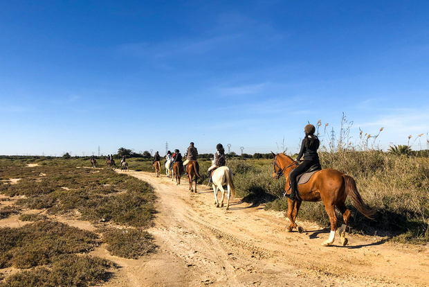 Sousse/Monastir: Excursión Privada a Caballo con Traslado