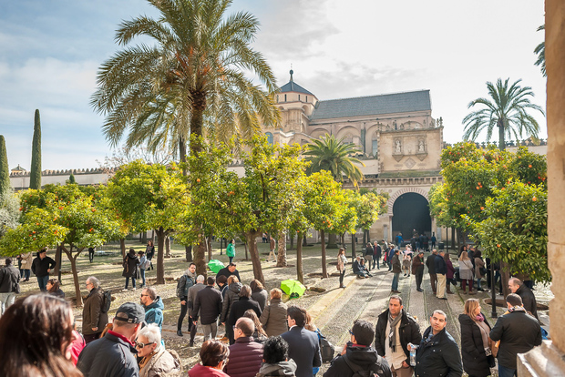Cordoba: Tour a piedi dei monumenti
