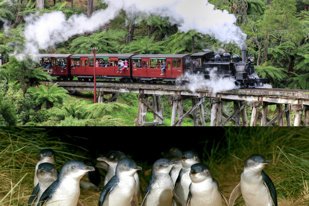 Desde Melbourne: Puffing Billy y Penguin Parade Combo Tour