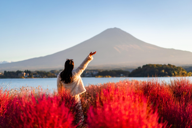 Desde Tokio: tour privado personalizable de día completo al monte Fuji