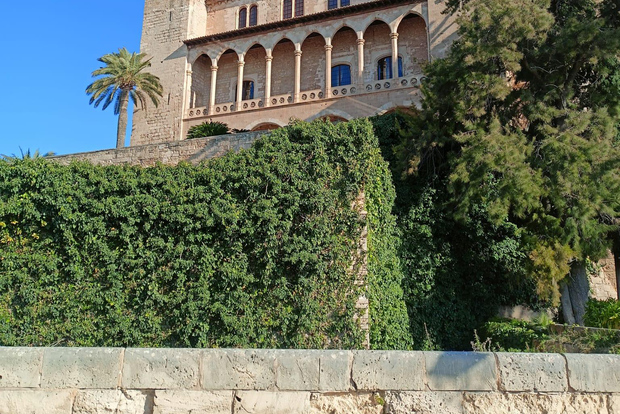 Il centro storico di Palma per la prima volta