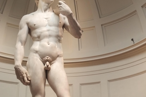 佛罗伦萨：学院美术馆门票和大卫导览游