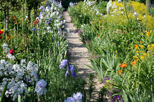 巴黎贵宾吉维尼花园莫奈故居司机驾车 5 小时