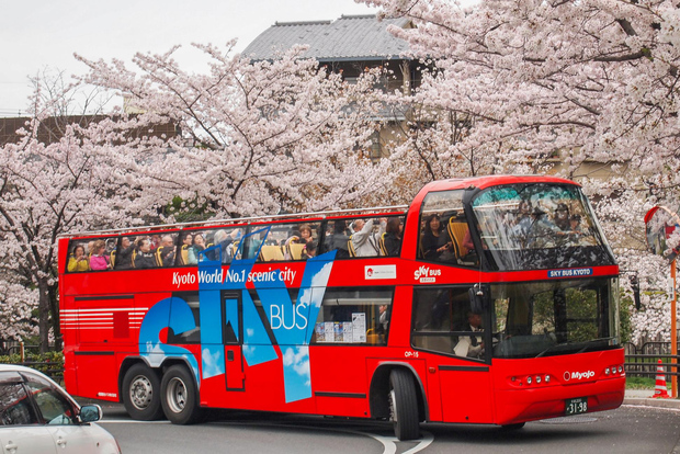 Kyoto: Biglietto per l'autobus Hop-on Hop-off