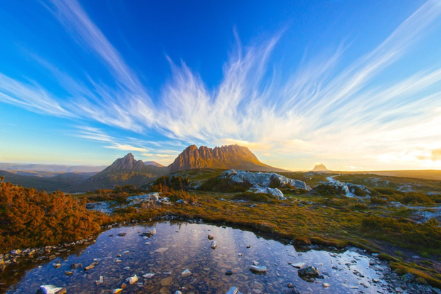 Cradle Mountain: Escursione di un giorno da Launceston con pranzo