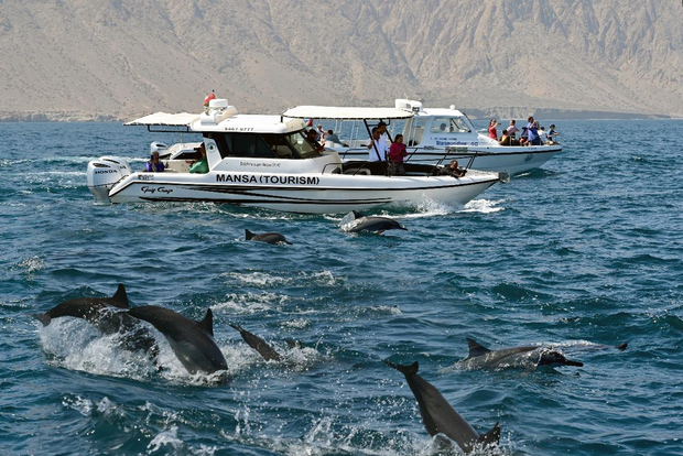 Muskat: Delfin- och valskådningsturer
