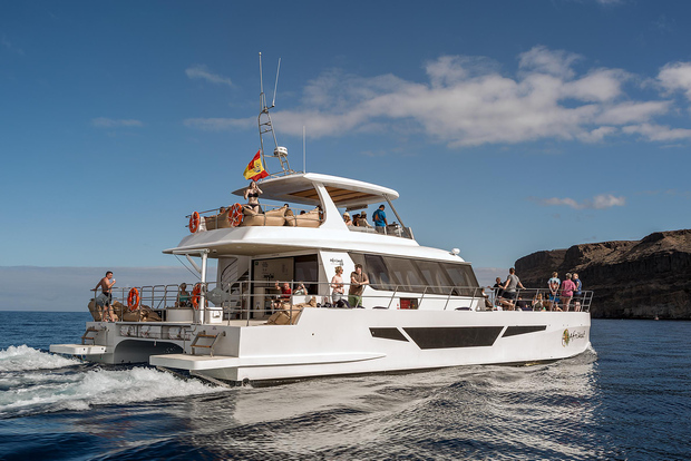 Гран-Канария: Дневной круиз на катамаране с едой и напитками