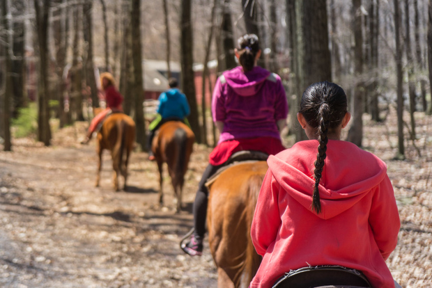 Agadir Horse Riding visita il fiume dei fenicotteri con una bevanda al tè